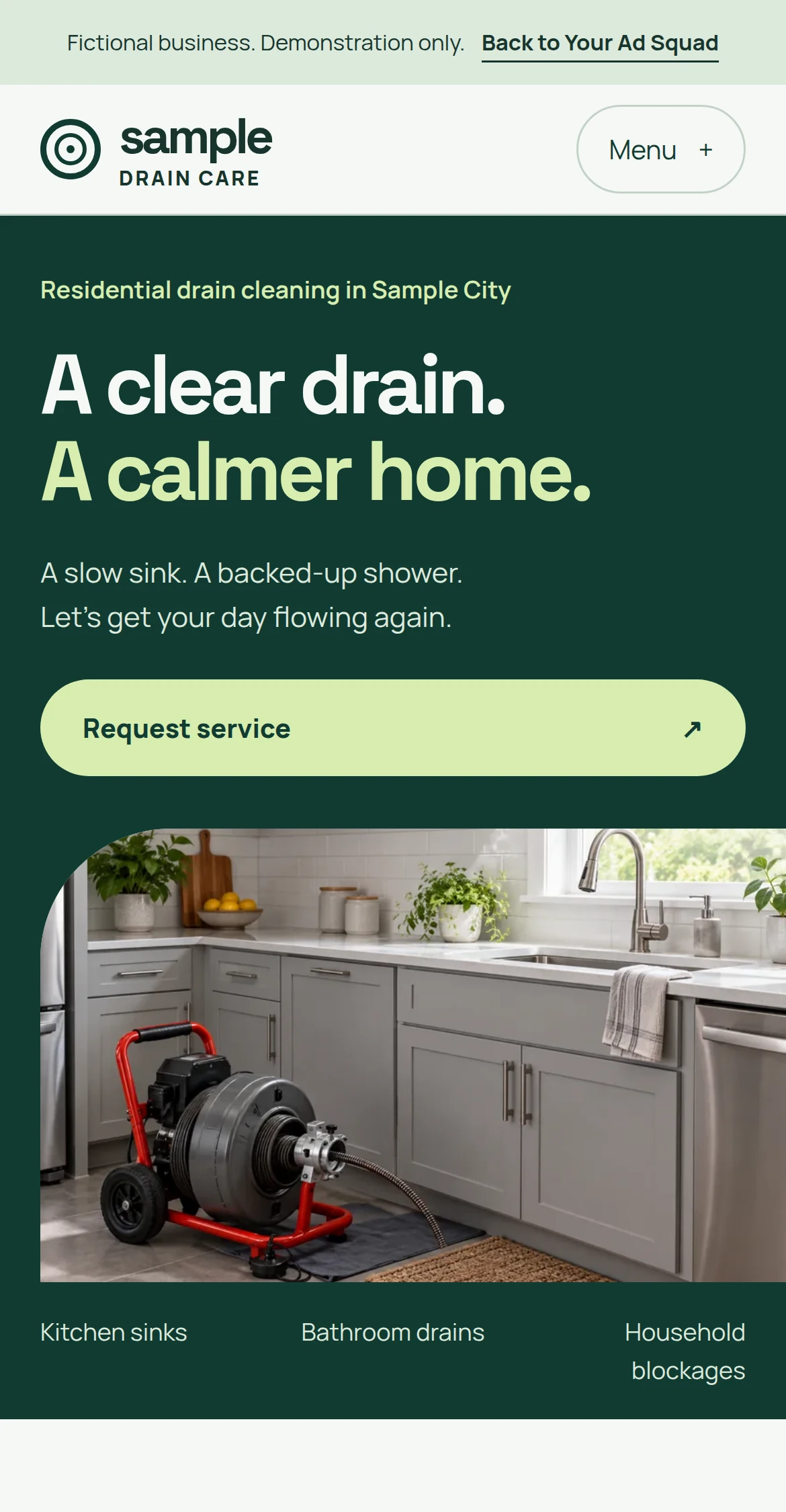 Actual browser-rendered fictional Sample Drain Care website. Open the complete working example.